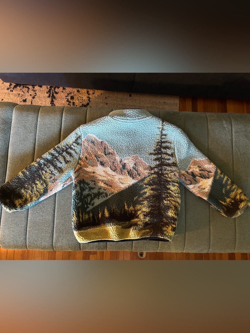 Boys Multicolor National Park Pullover Sweatshirt - Graphic Half-Zip - Picture 2 of 3